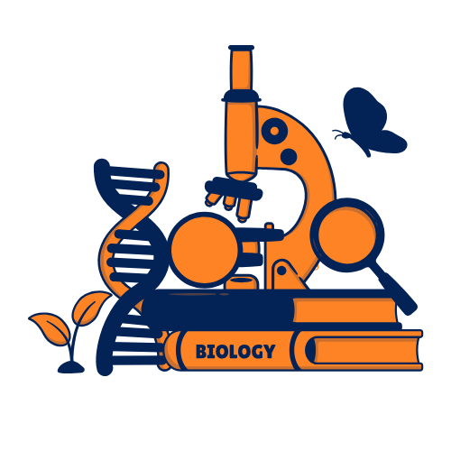 Credit Card Promotion